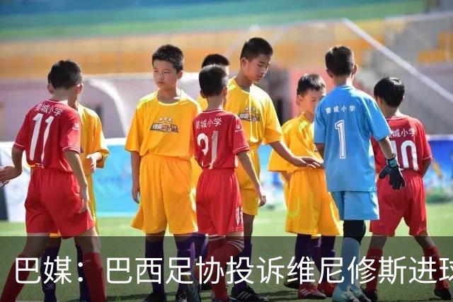 巴媒：巴西足协投诉维尼修斯进球被吹，引用梅西进球有效判例