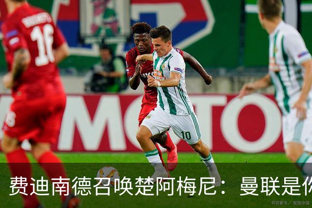 费迪南德召唤楚阿梅尼：曼联是你的唯一归宿，想成事的话就来吧！